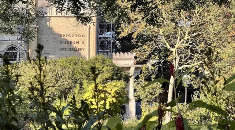 brighton museum gallery 768x426